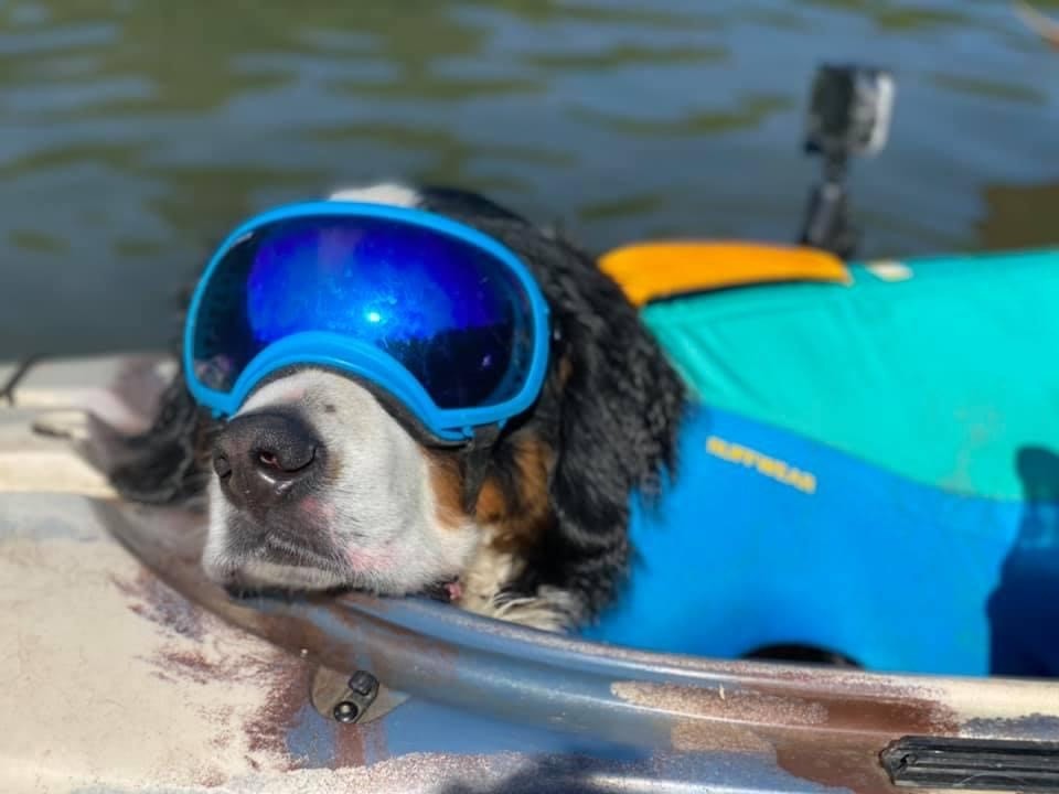 A dog wearing a life jacket and protective goggles sleeps in a kayak.