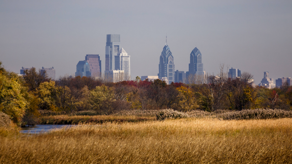 Grasses, bushes, trees and other plants encompass a body of water in the foreground of the Philadelphia city skyline.