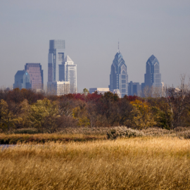 Grass, trees, bushes and other plants surround a small body of water in the foreground of the Philadelphia city skyline.