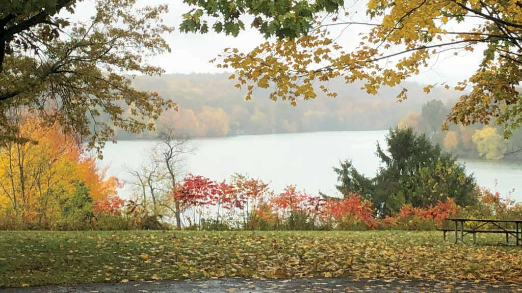 A thin fog sits over a lake in fall. Orange and yellow trees surround the lake, and leaves have fallen on the grass in the foreground.