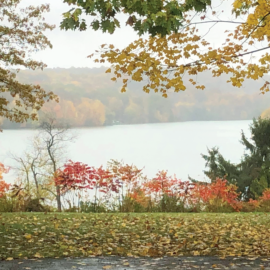 A thin fog sits over a lake in fall. Orange and yellow trees surround the lake, and leaves have fallen on the grass in the foreground.