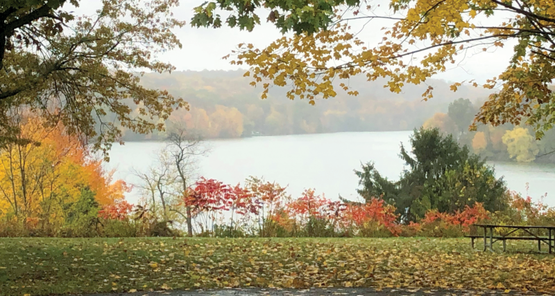 A thin fog sits over a lake in fall. Orange and yellow trees surround the lake, and leaves have fallen on the grass in the foreground.