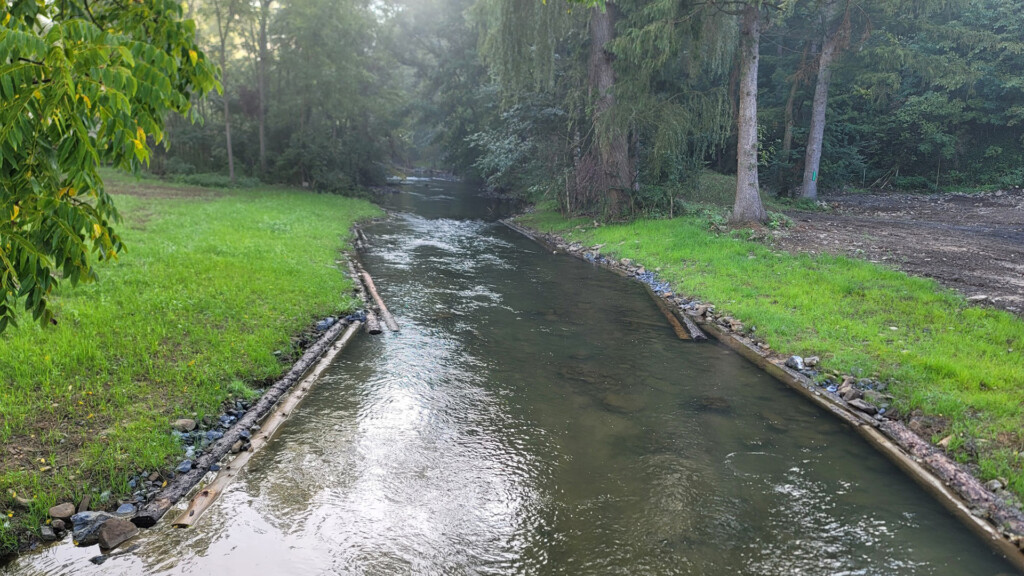 A stream flows into a forest. There are clearings on either side of the stream with native grass. Man-made log structures run parallel to the stream, supporting the stream banks.