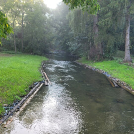 A stream flows into a forest. There are clearings on either side of the stream with native grass. Man-made log structures run parallel to the stream, supporting the stream banks.