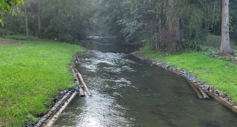 A stream flows into a forest. There are clearings on either side of the stream with native grass. Man-made log structures run parallel to the stream, supporting the stream banks.