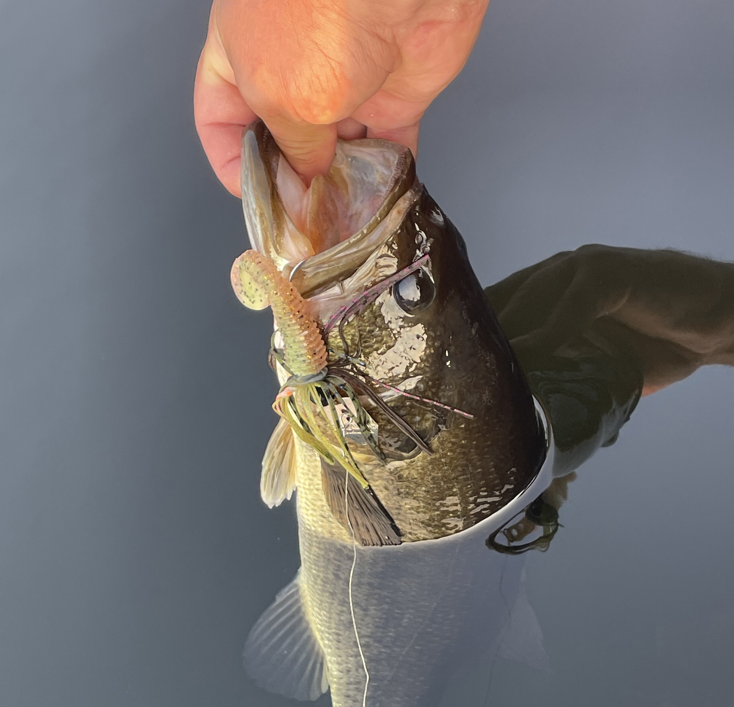 A person pulling up their smallmouth bass catch with a lure hanging out of its mouth.