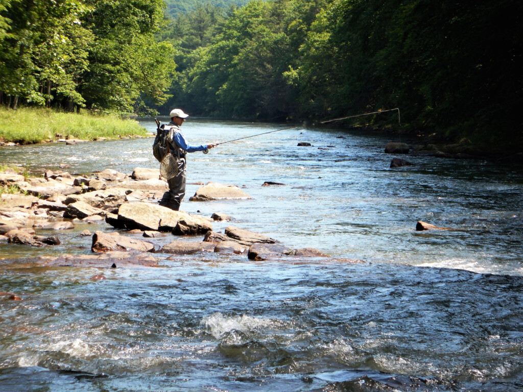 Medium shot of man fishing on rocks at Penns Creek 