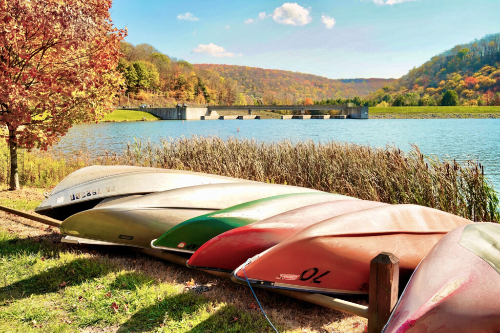 Row of kayaks moored upside down along the shore of Lyman Run State Park with the lake pictured in the background.