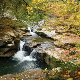 Scenic photo of a small rocky waterfall surrounded by green scenery.
