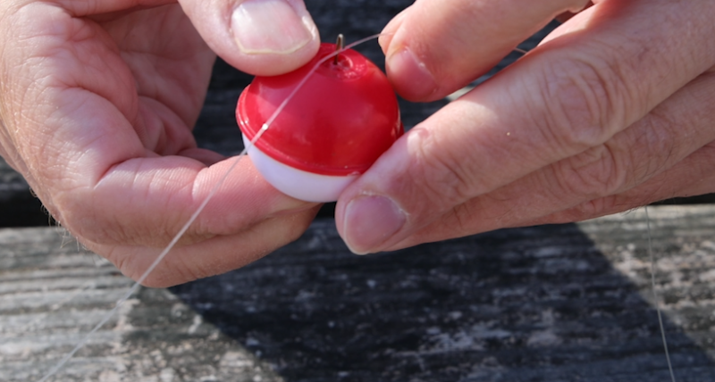 Close-up of a man's hands pushing down on a spring load bobber to attach fishing line
