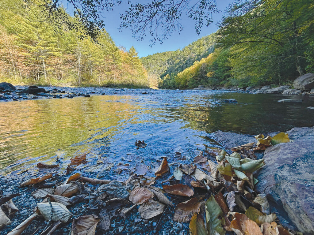 Close-up of the Lehigh River shoreline in Fall as it flows through Lehigh Gorge State Park.